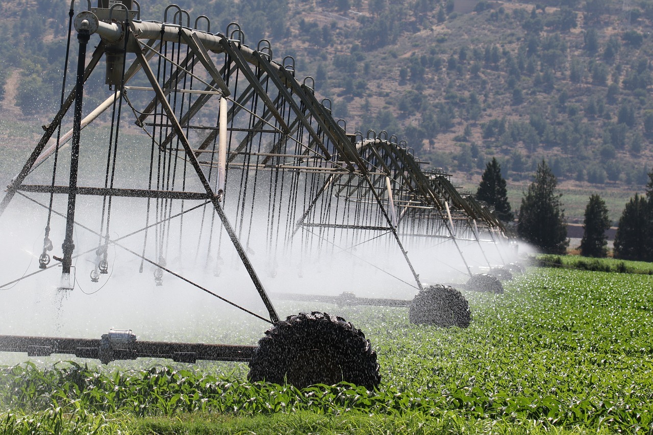 irrigation, sprinklers, agriculture, drought, climate, change, field, irrigation, irrigation, irrigation, irrigation, irrigation